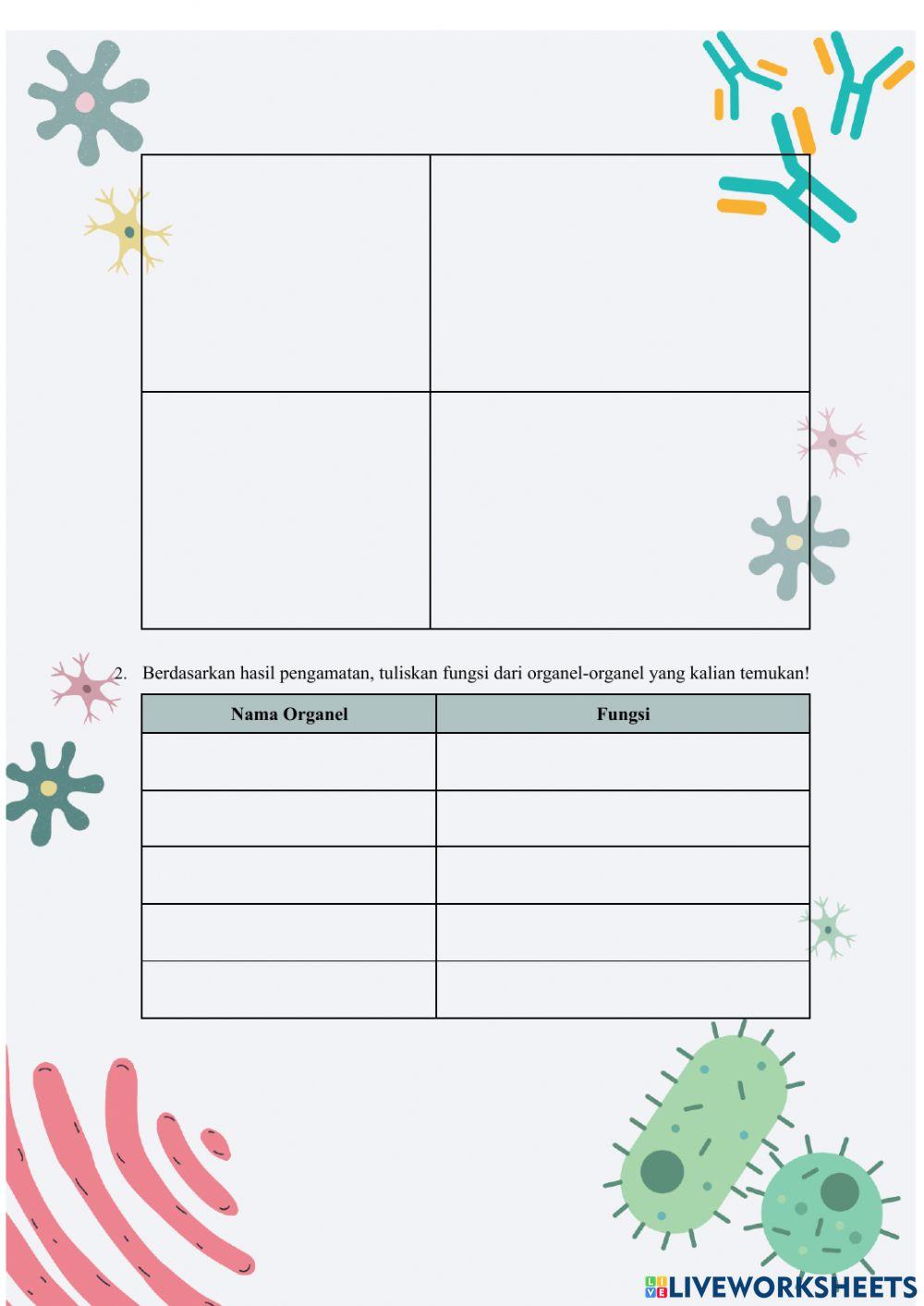 Lembar Kerja Peserta Didik Sel 1