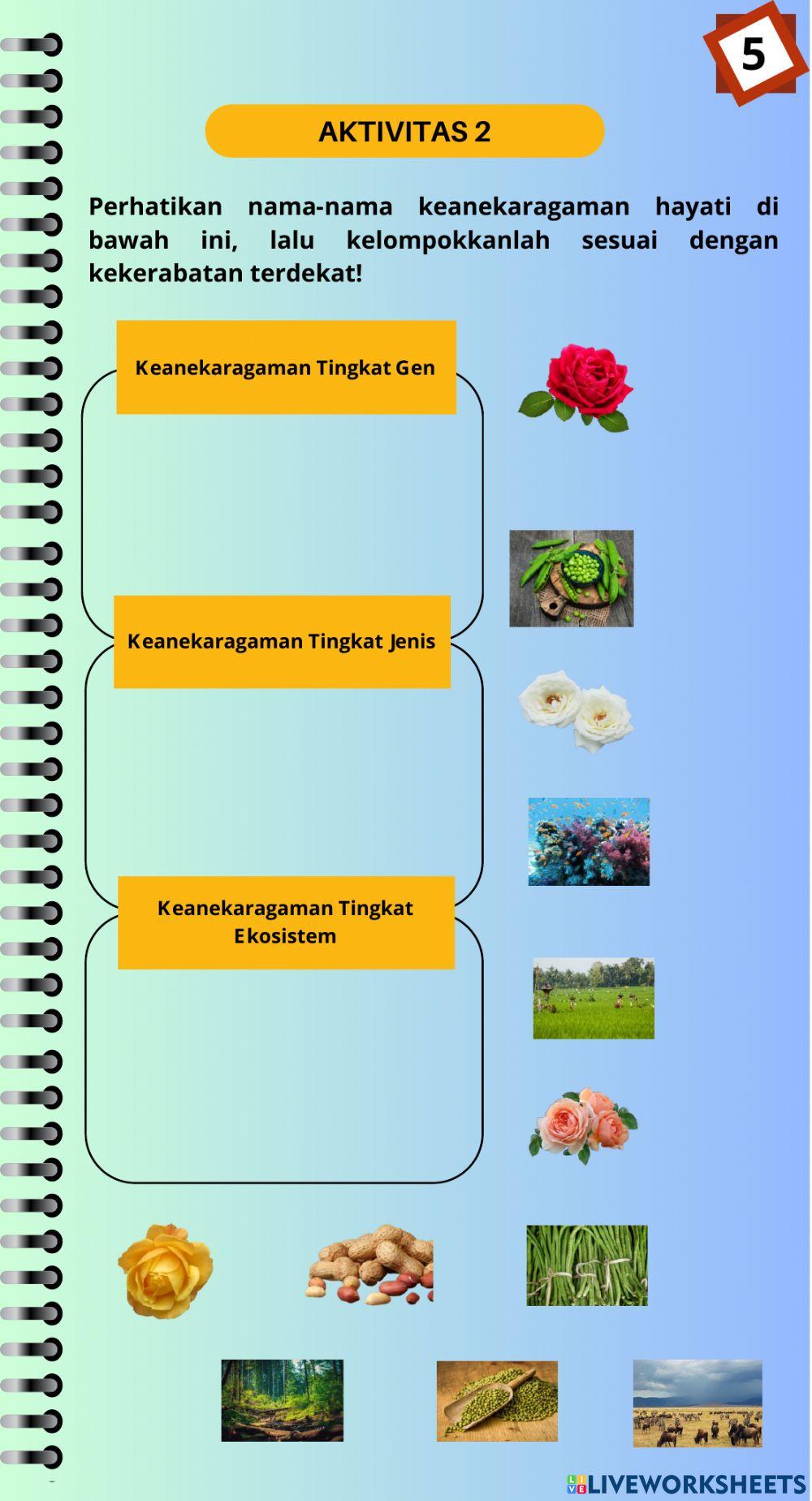LKPD Keanekaragama Hayati