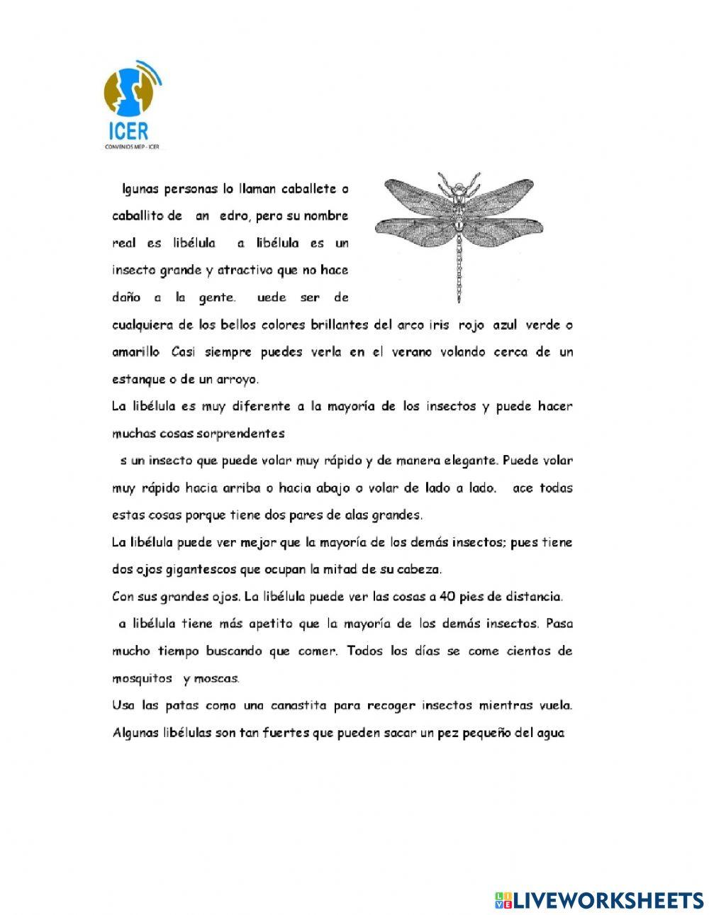 Mayúsculas y puntuación (: , .)