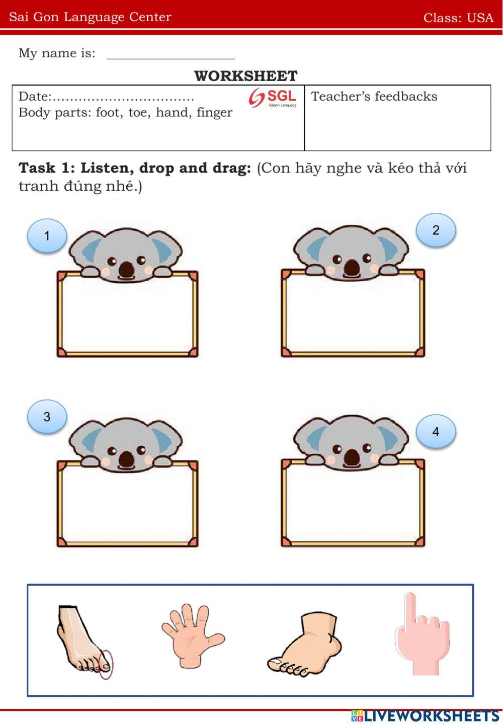 Usa body parts foot, toe, hand, finger 21.07