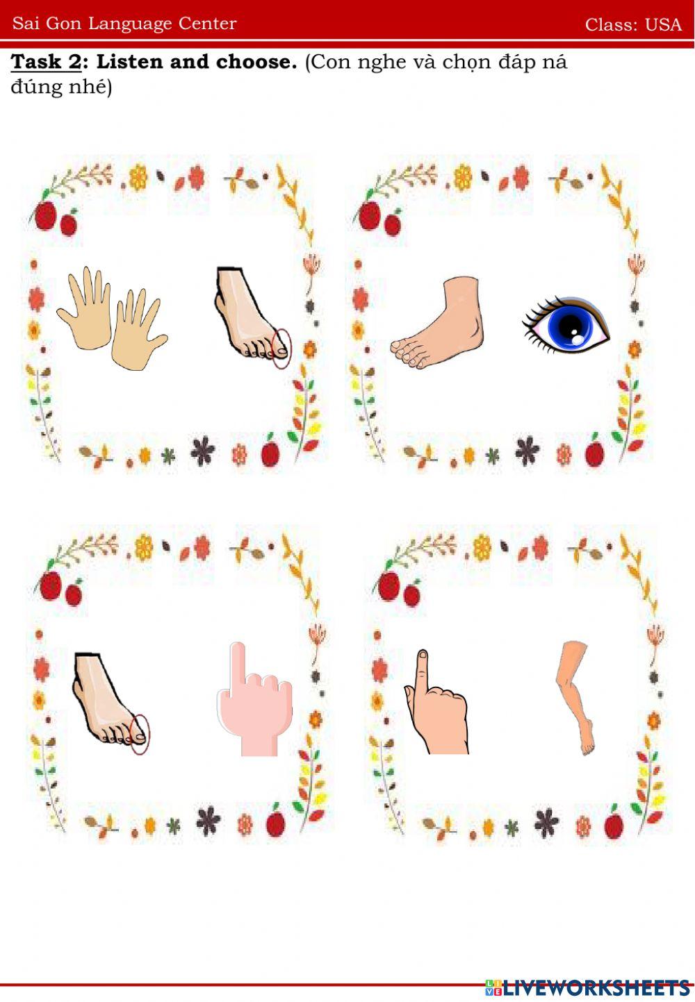 Usa body parts foot, toe, hand, finger 21.07