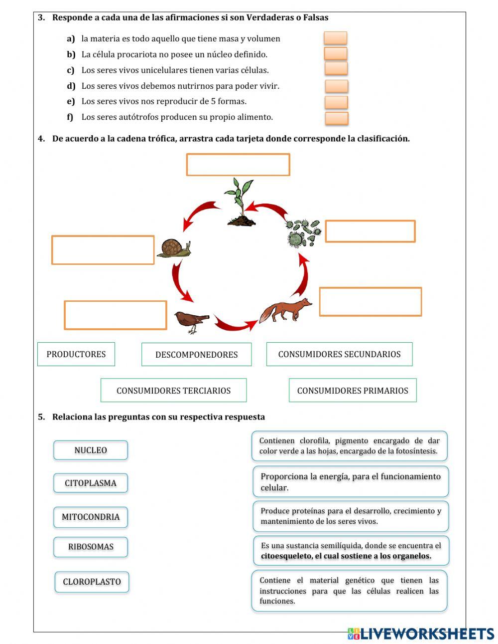 Examen primer trimestre novenos