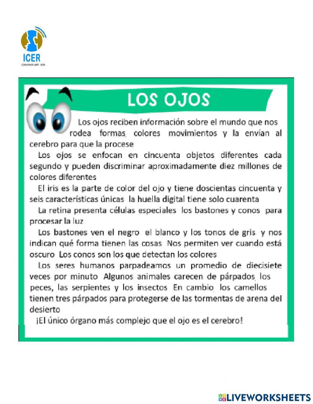 Puntuación (: , . )