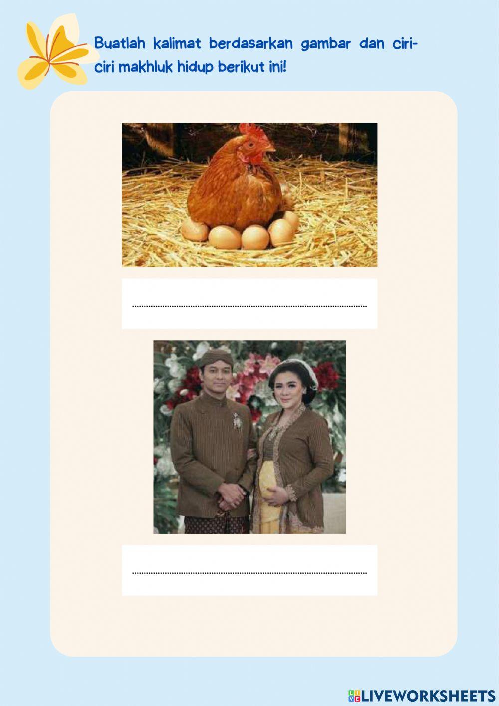 Lkpd ciri-ciri makhluk hidup