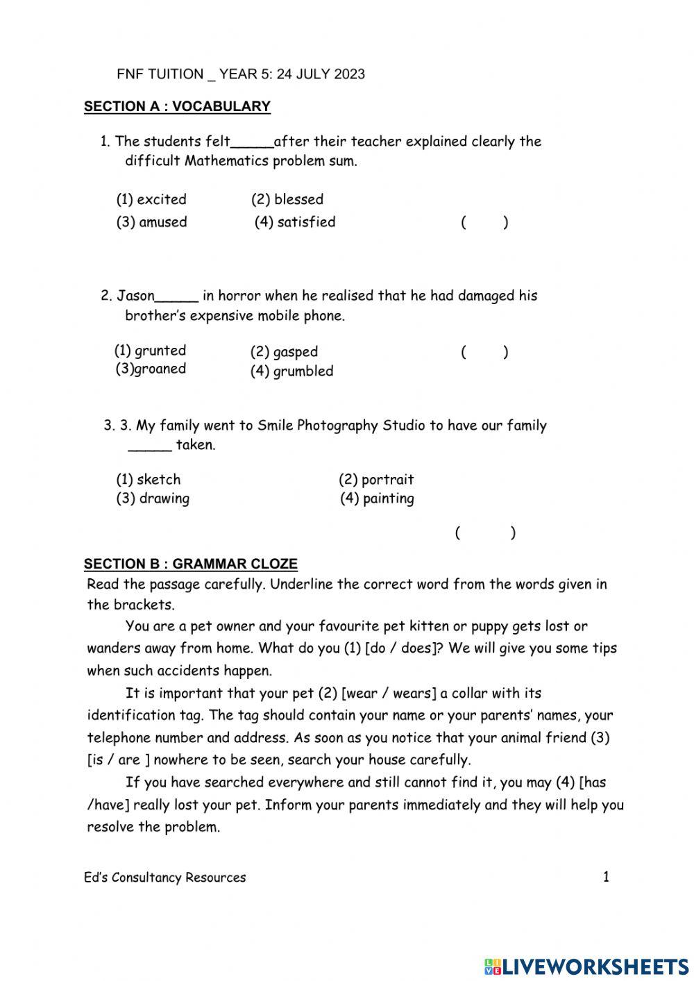 Year 5 Practice Worksheets