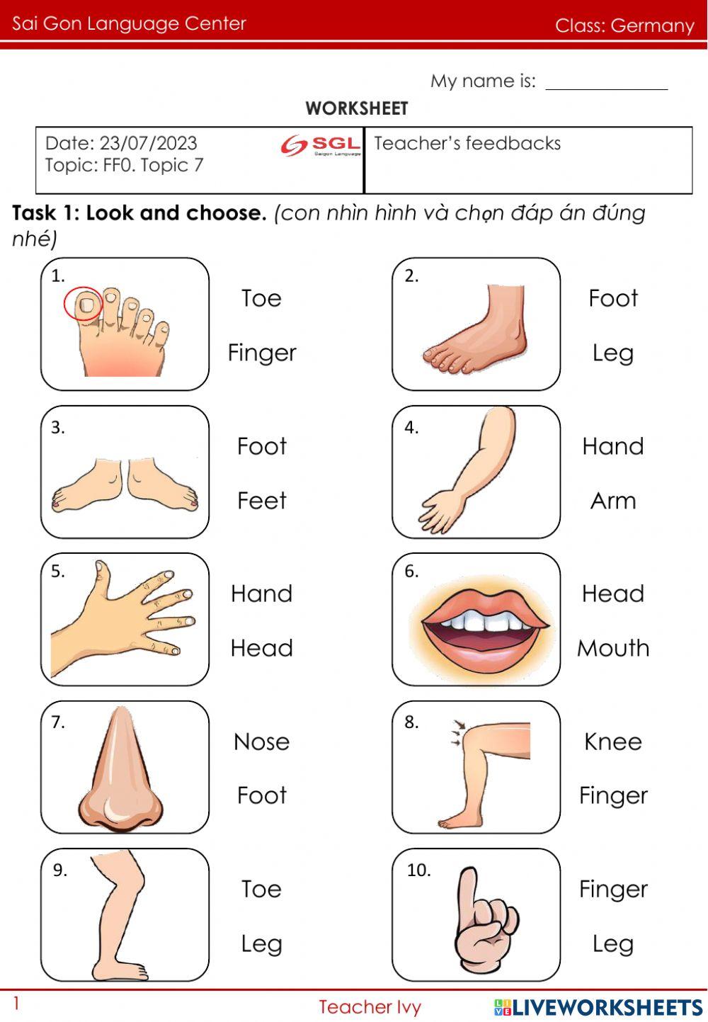 12+ Facts About Germany for Kids | Kids Activities Blog, image size:1000x1443