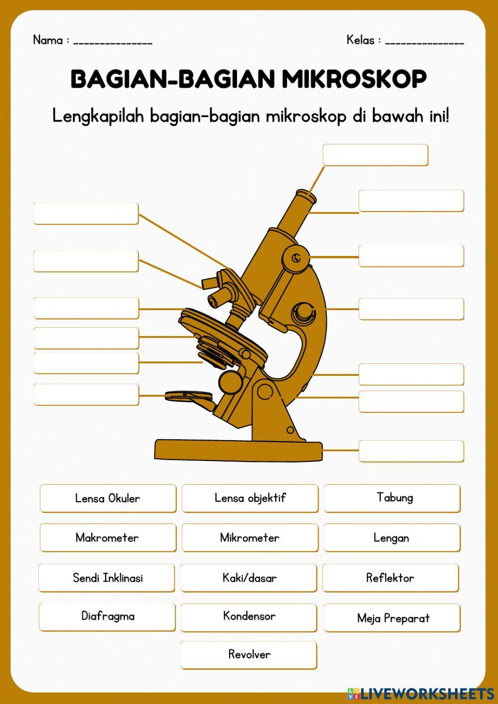 LKPD 1 Bagian Mikroskop