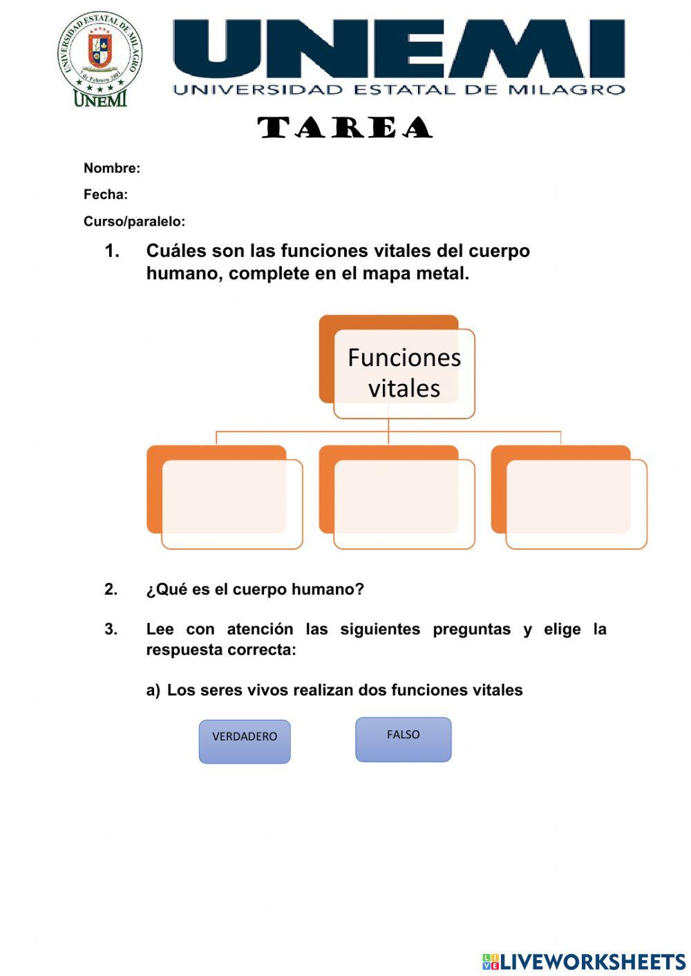 El cuerpo humano y sus funciones vitales