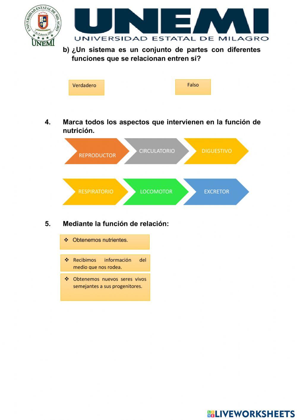 El cuerpo humano y sus funciones vitales
