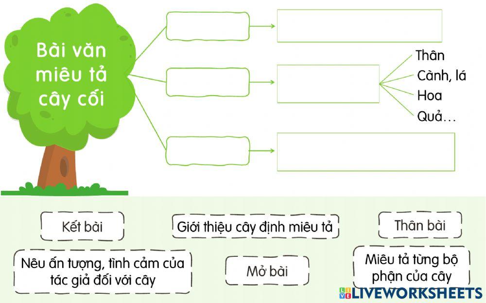 Bố cục bài văn miêu tả cây cối