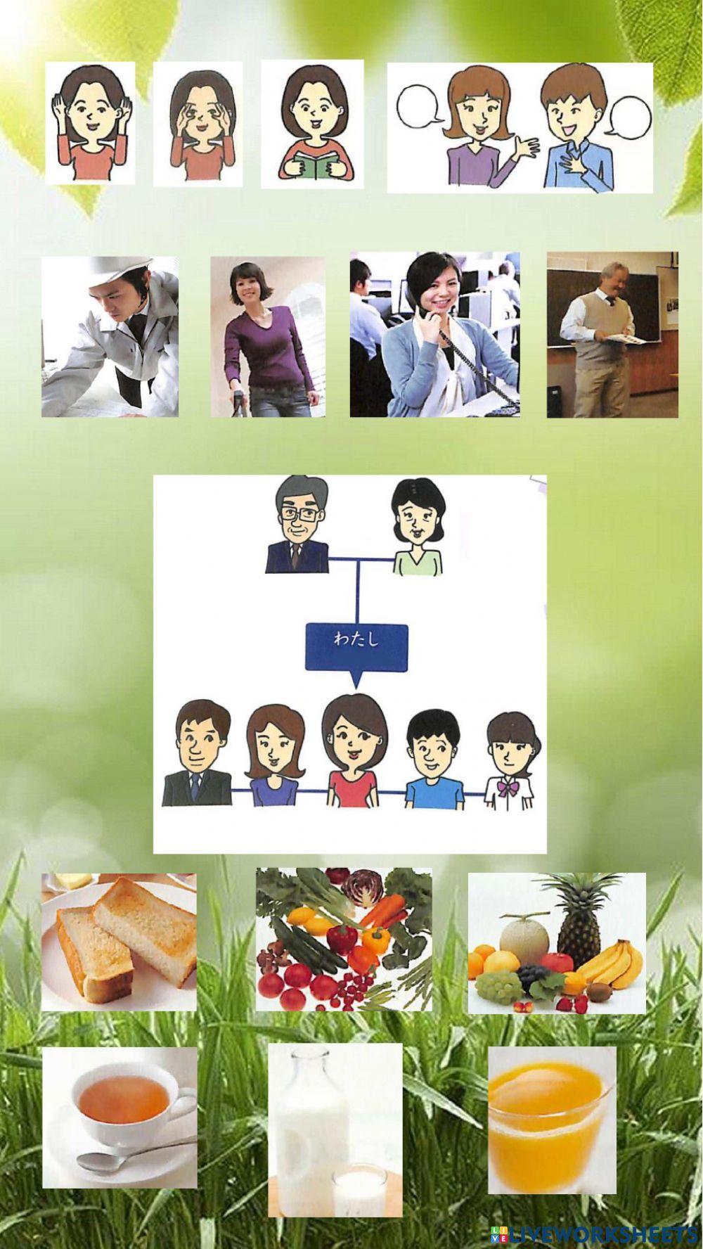 Маругото А1.1 Уроки 1-9