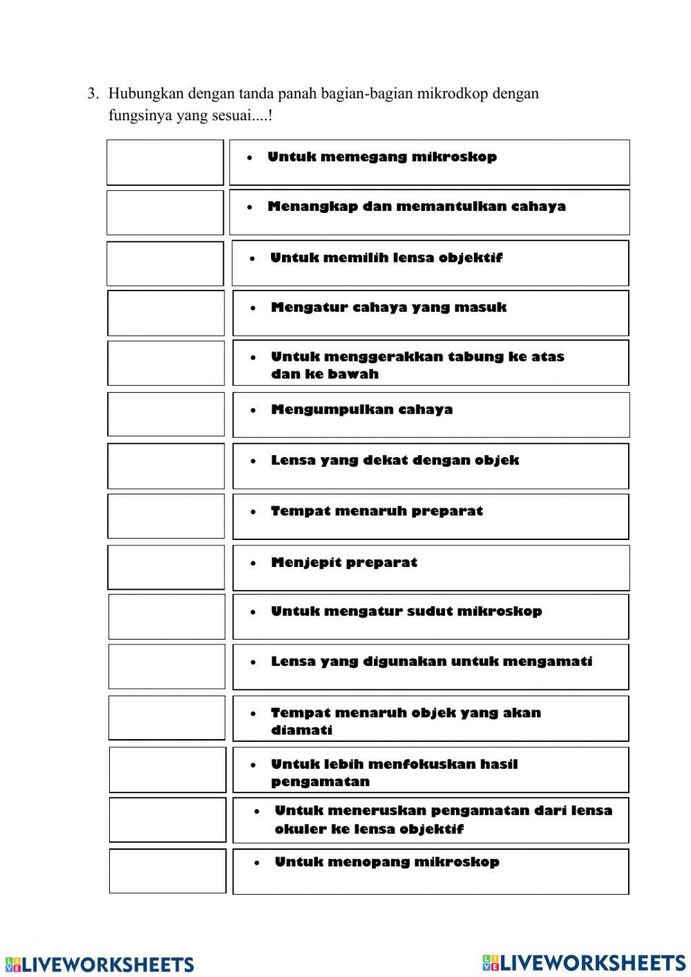 worksheet mikroskop