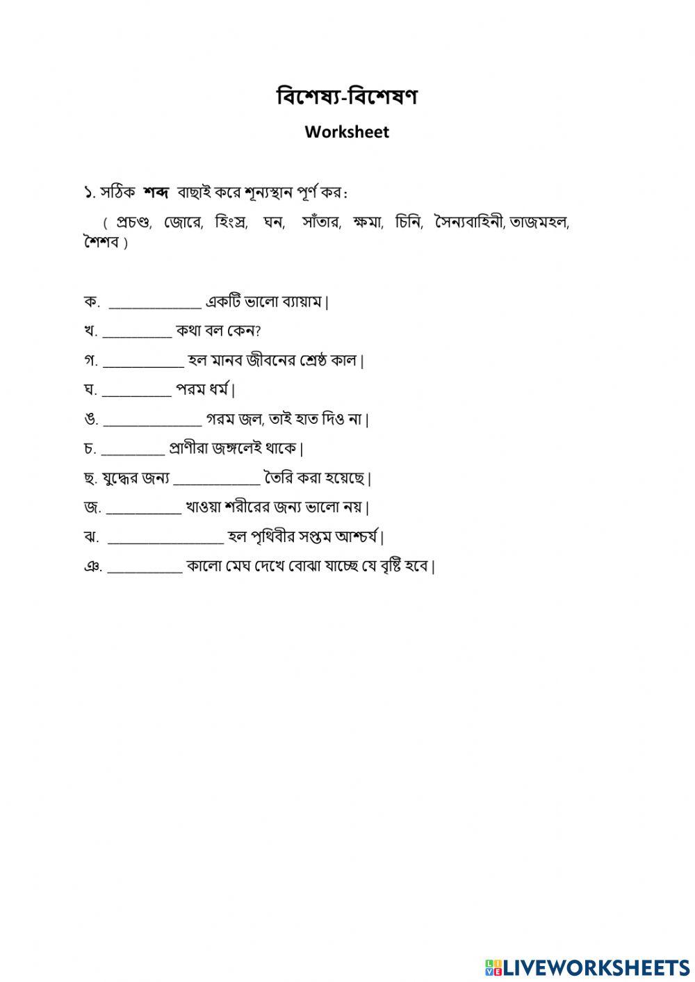 বিশেষ্য-বিশেষণ