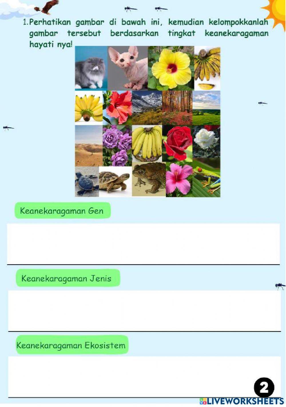 LKPD Keanekaragaman Hayati