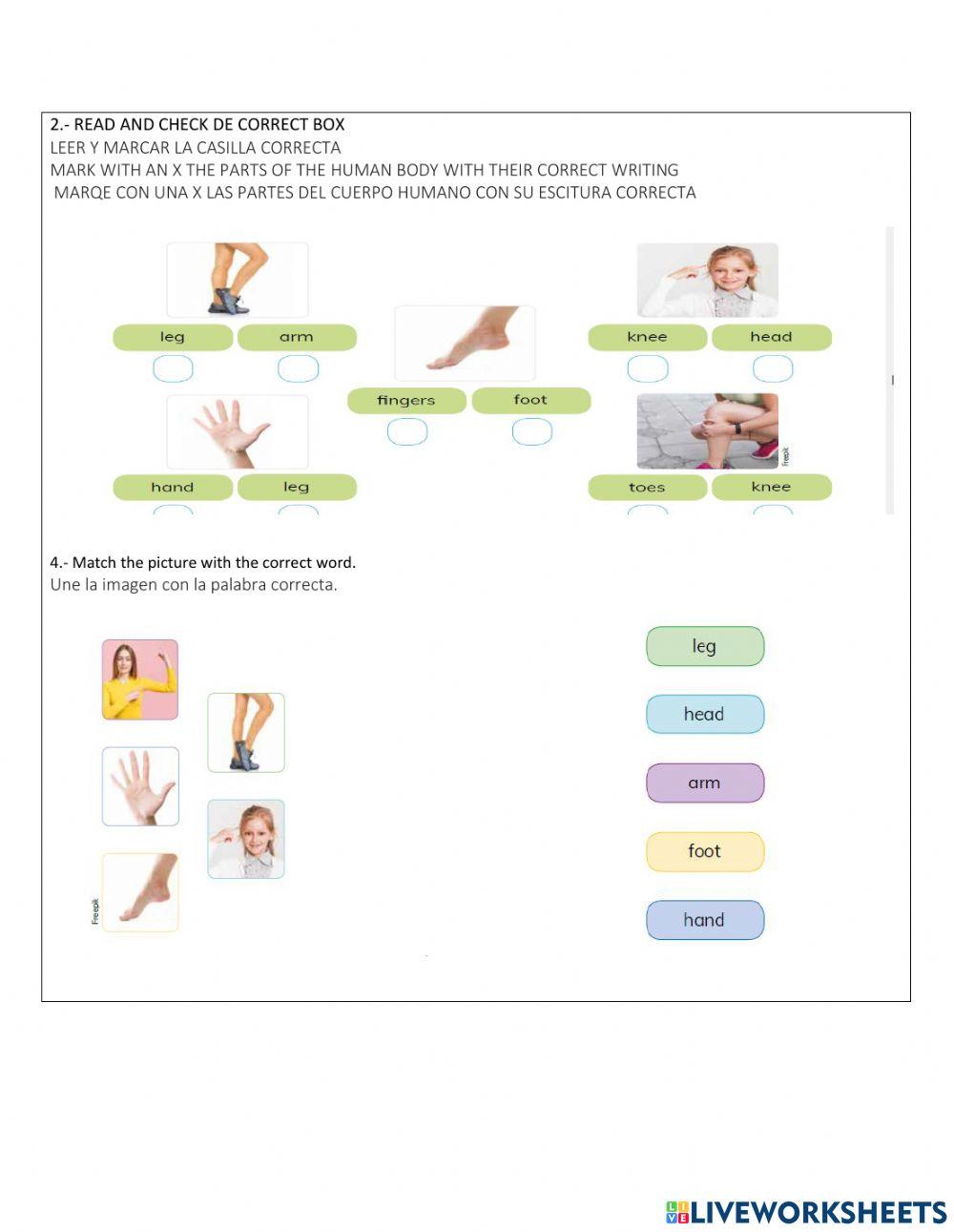Partes del cuerpo humano en ingles-evaluación