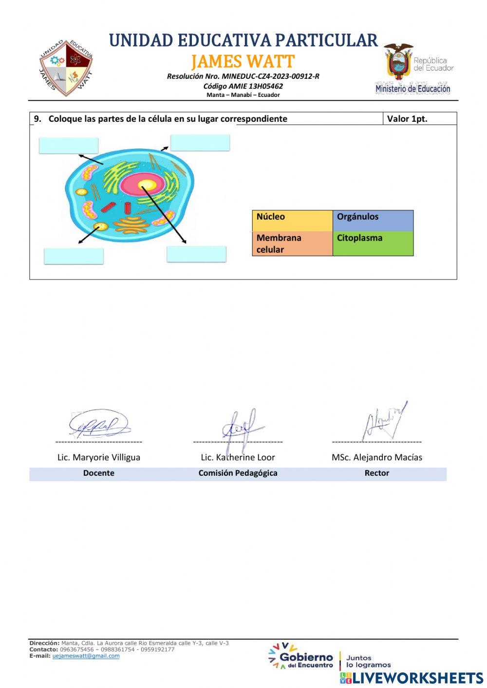 Ciencias 1er trimestre
