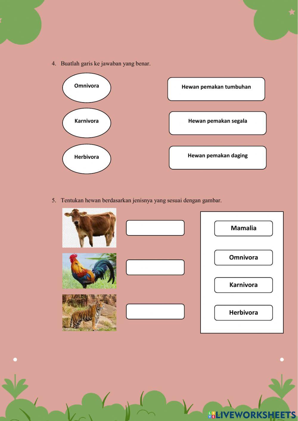 Penggolongan hewan berdasarkan makanannya