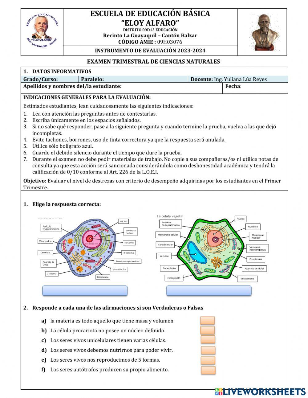 Examen 9no a
