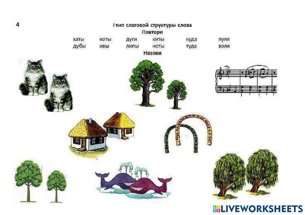 Первый тип слоговой структуры. Часть 1. Слова. Черенкова М.А.