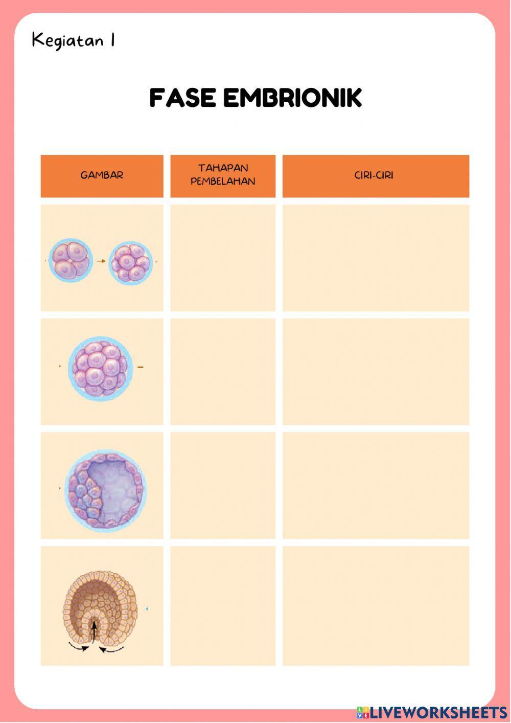 LKPD Pertumbuhan dan Perkembangan Hewan