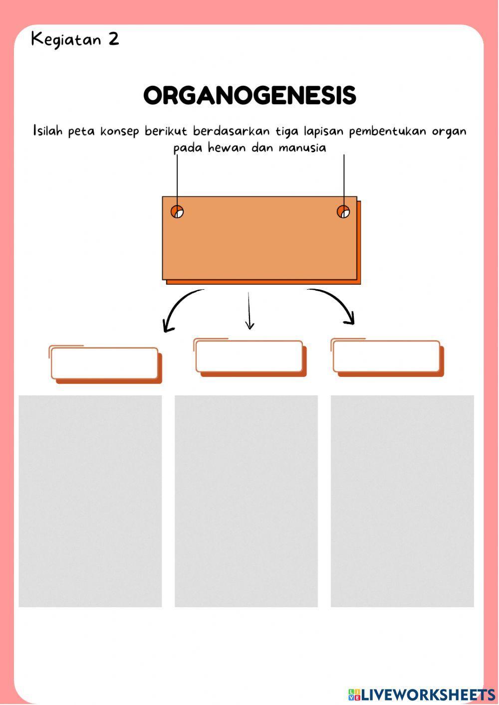 LKPD Pertumbuhan dan Perkembangan Hewan