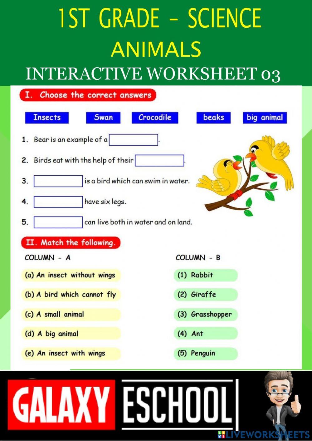 1st-science-ps03-animals-Galaxy