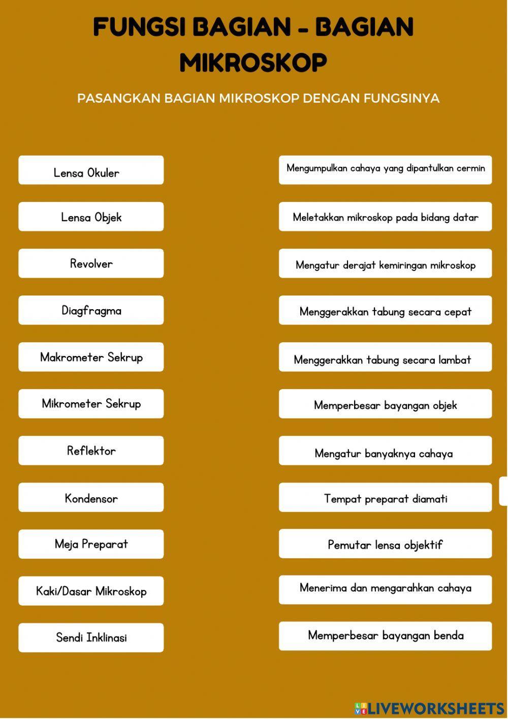 Pengenalan Bagian Mikroskop dan Fungsinya