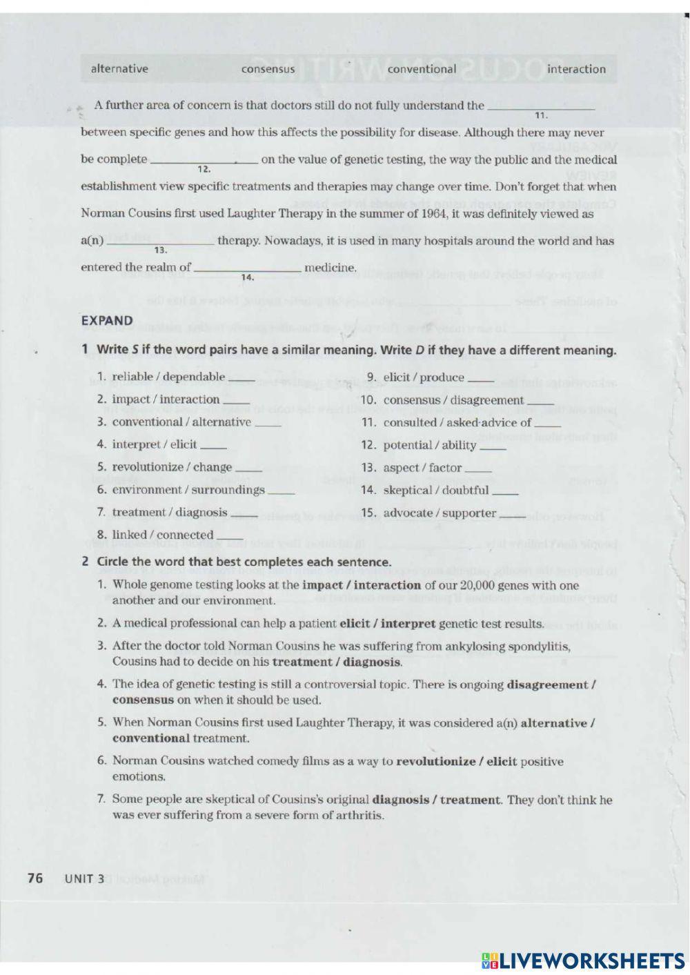 Focus on Writing - Vocabulary - Review - Pages 75 & 76 - Unit 3 - Northstar 4