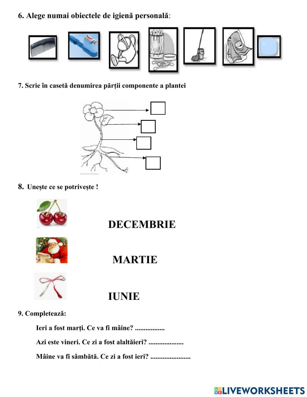 Știu, pot, reușesc