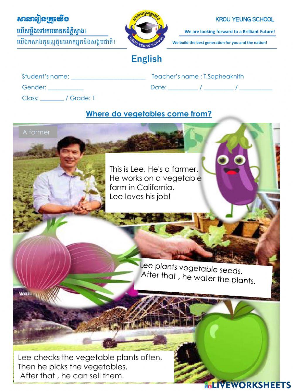 Where do the vegetable come from