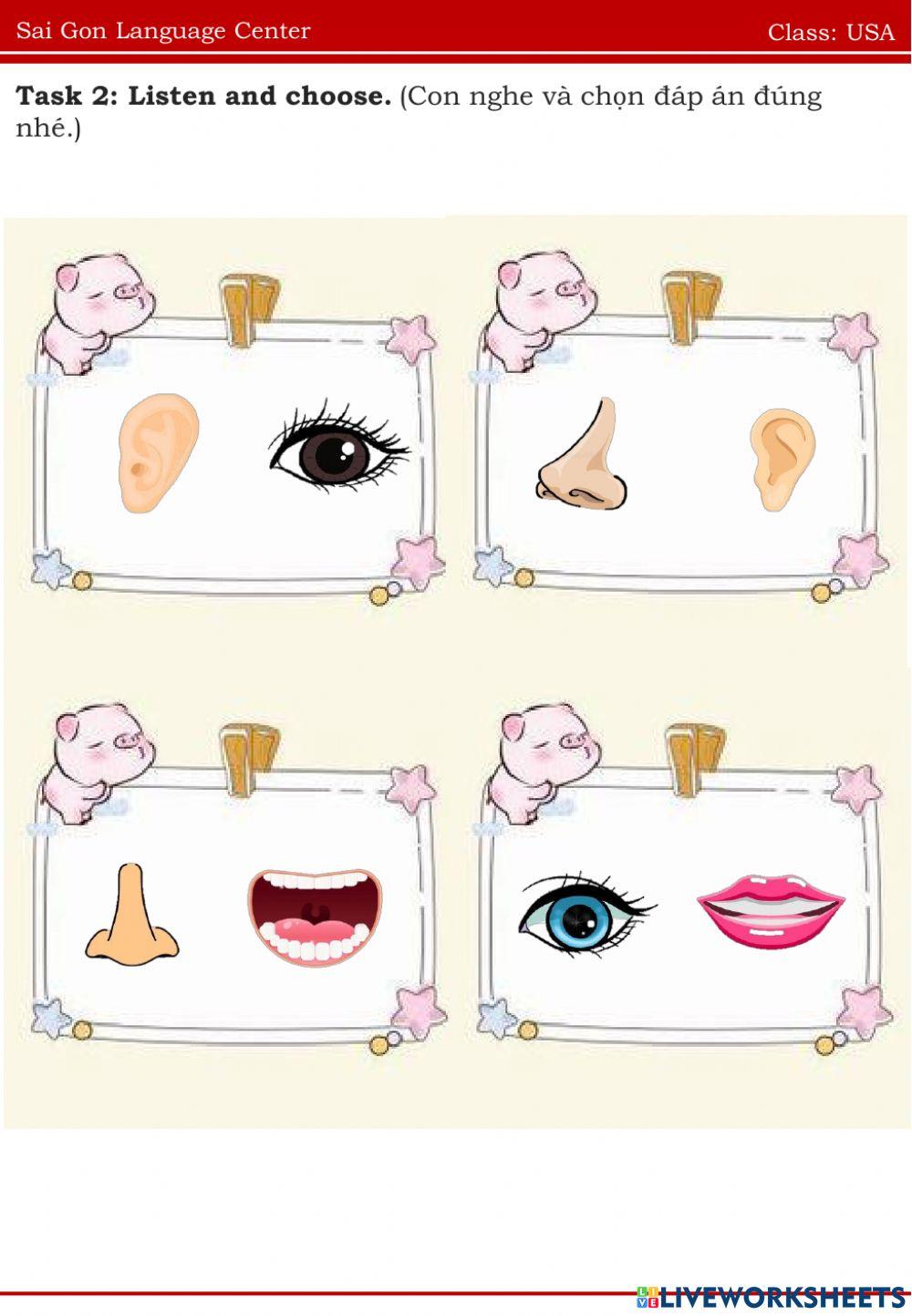 Usa eye, ear, nose, mouth 03.07