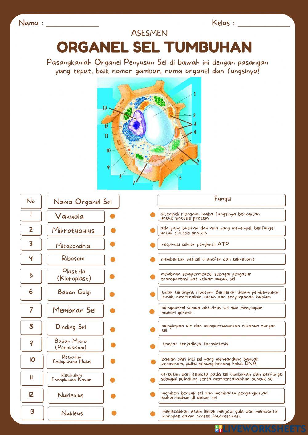 Asesmen Sel Tumbuhan