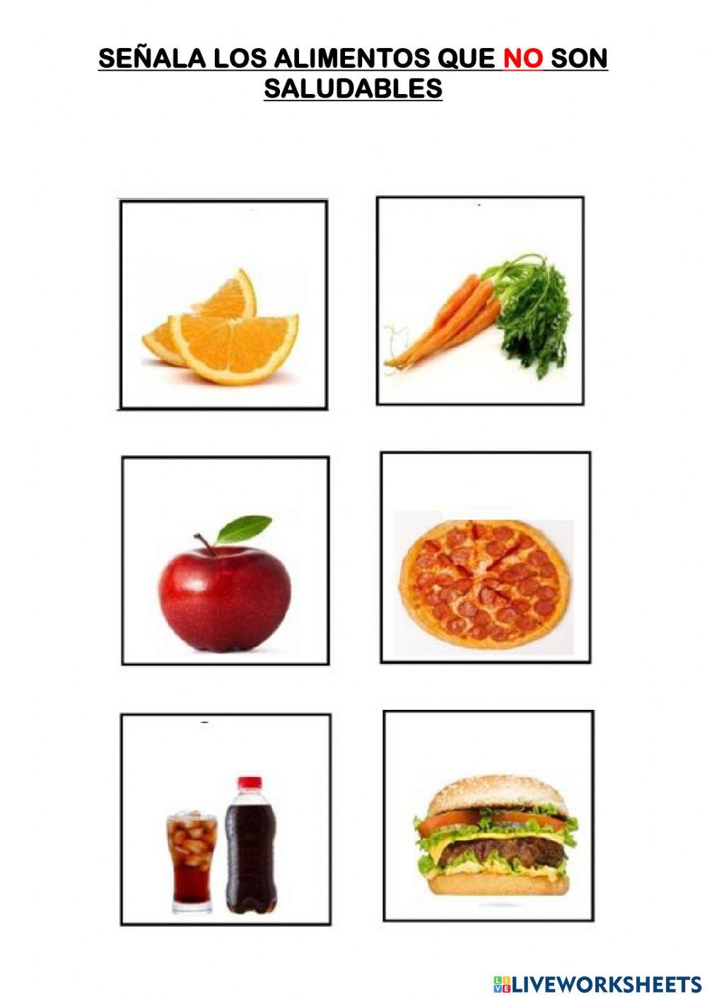 Relación con el medio natural – cultural