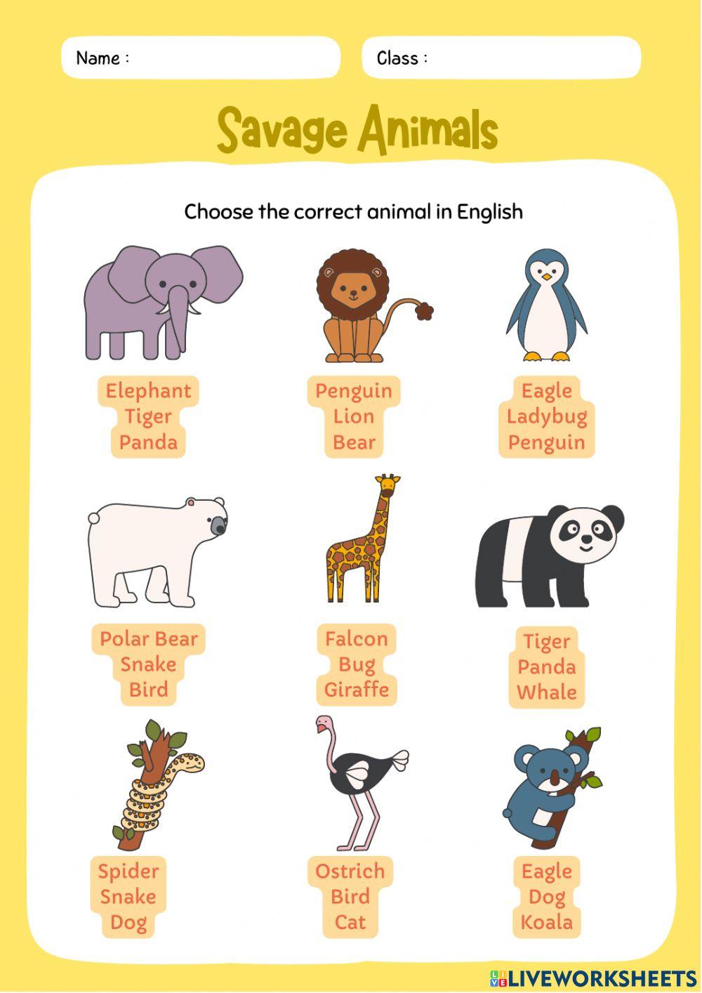 Exercises B1 English TEENS