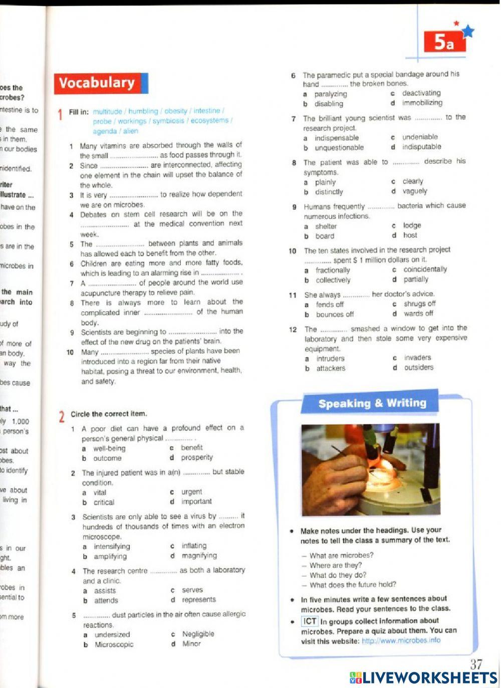 Stars and Stripes Unit 5 REading and Vocabulary