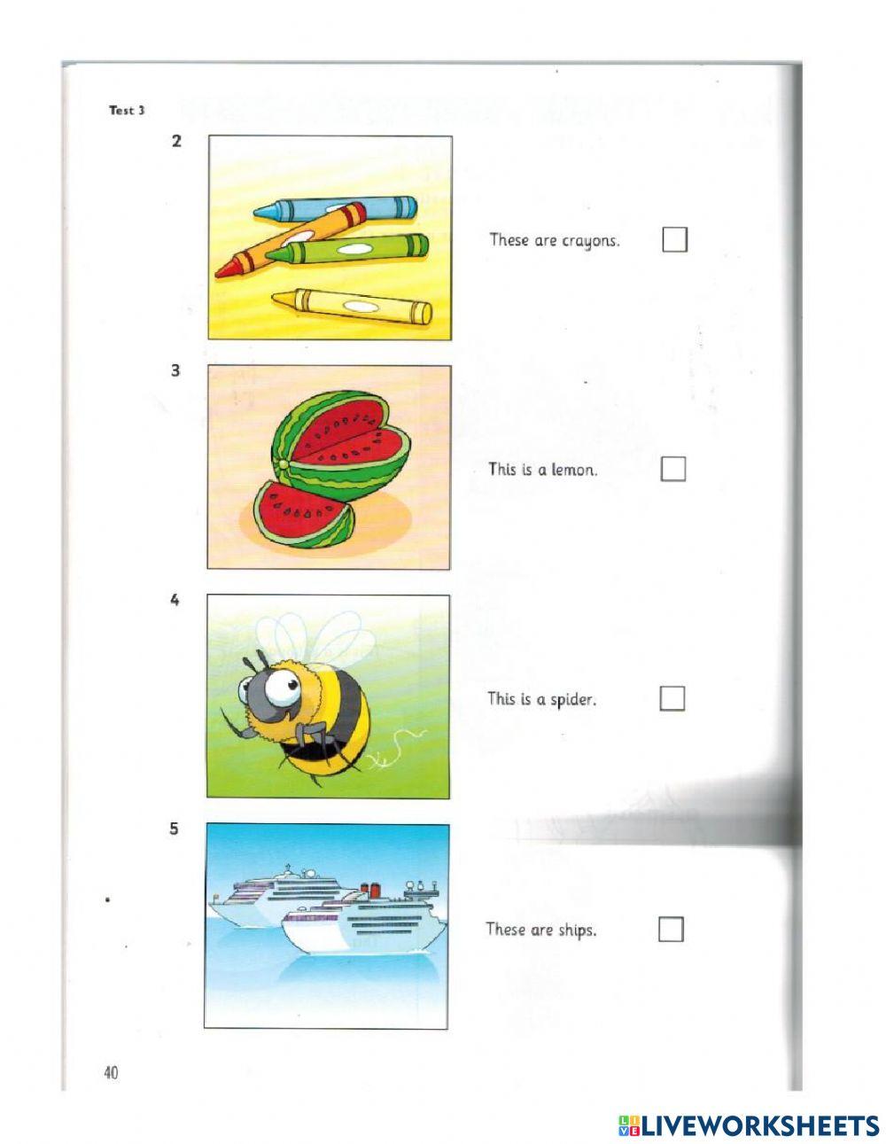 Authentic Starters 1-Test 3 Reading