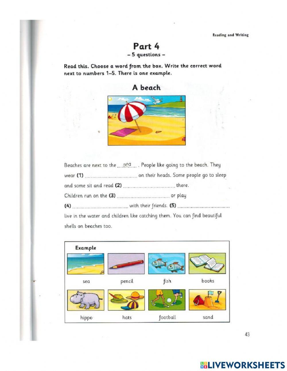 Authentic Starters 1-Test 3 Reading