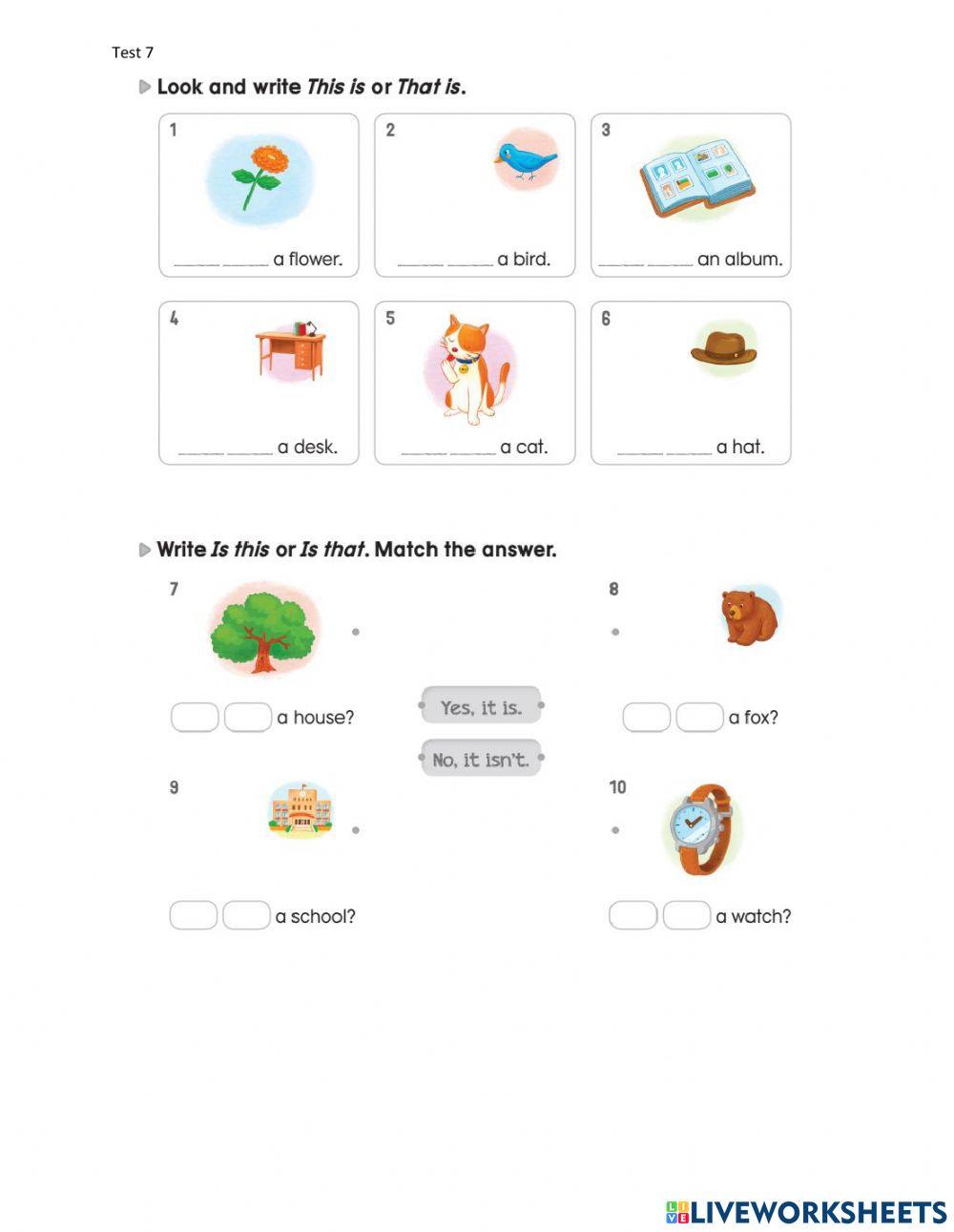 My first grammar 1- tes 7+ 8