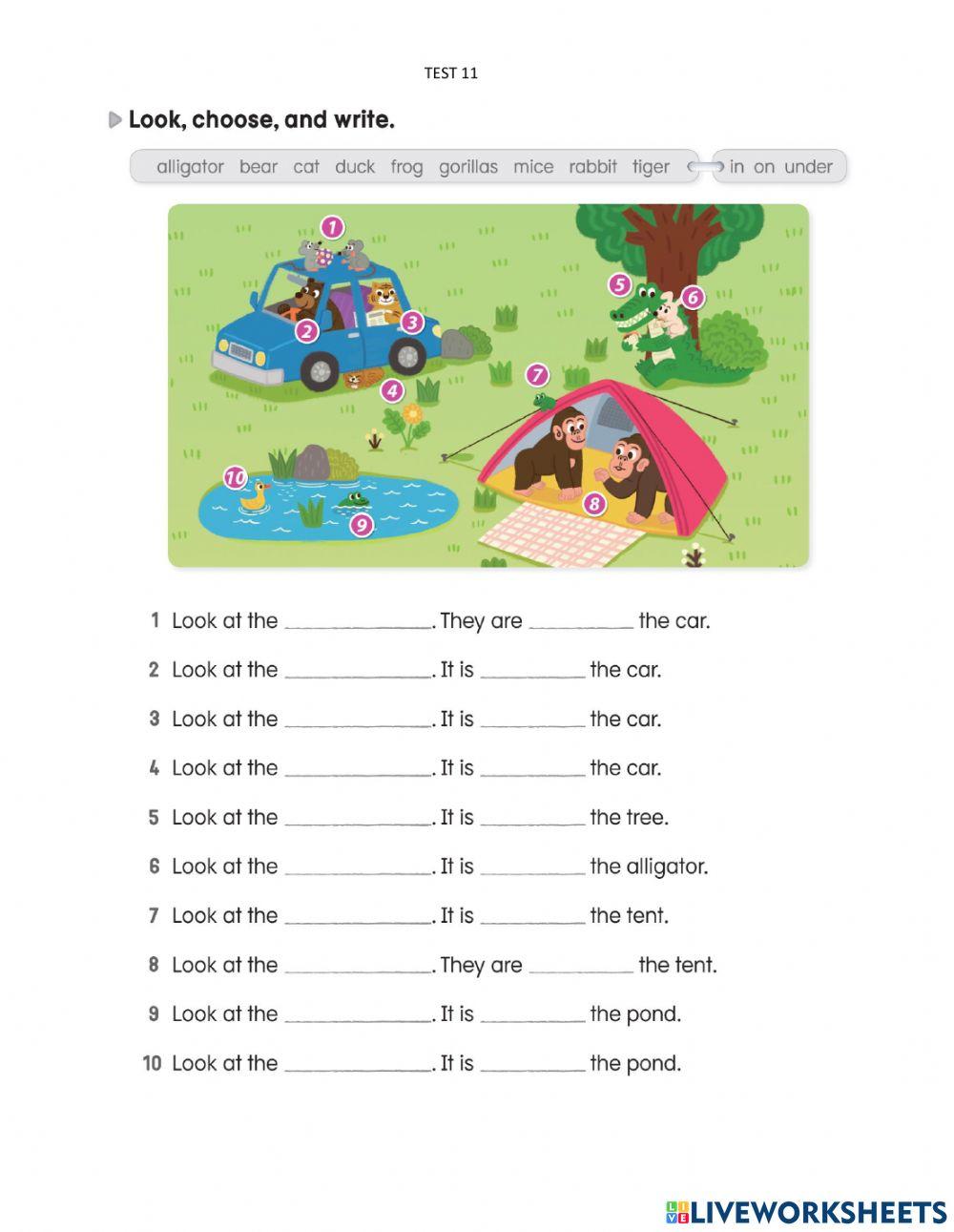 My first grammar 1- test 11