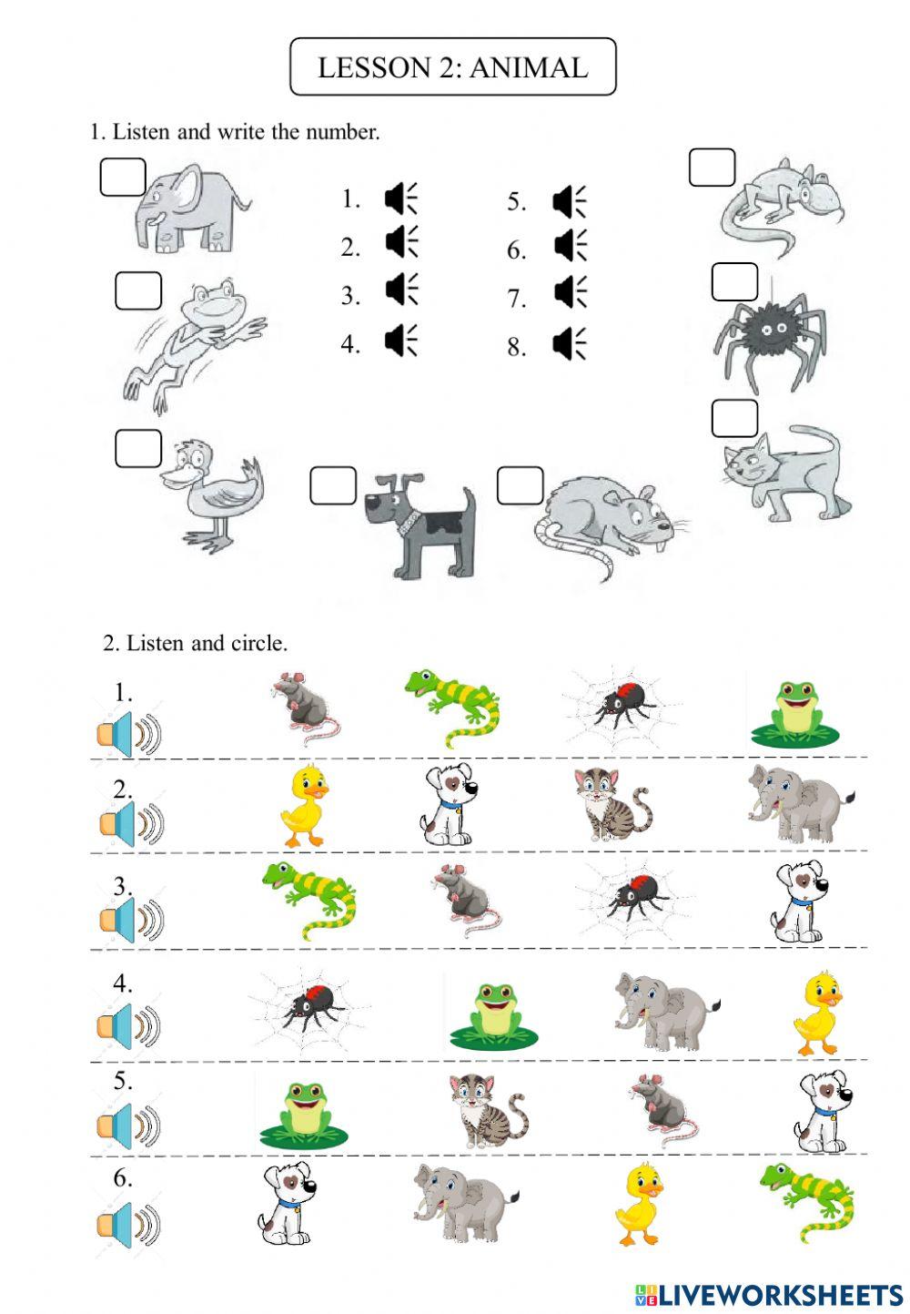 super mind 1: exercise animal