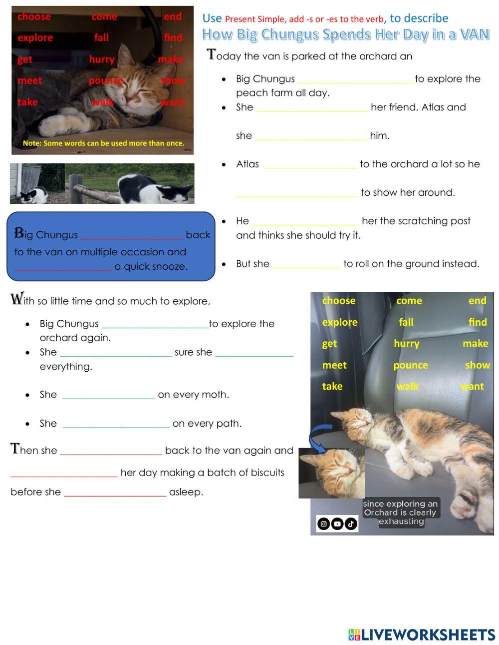 How Big Chungus Spends Her Day in a VAN