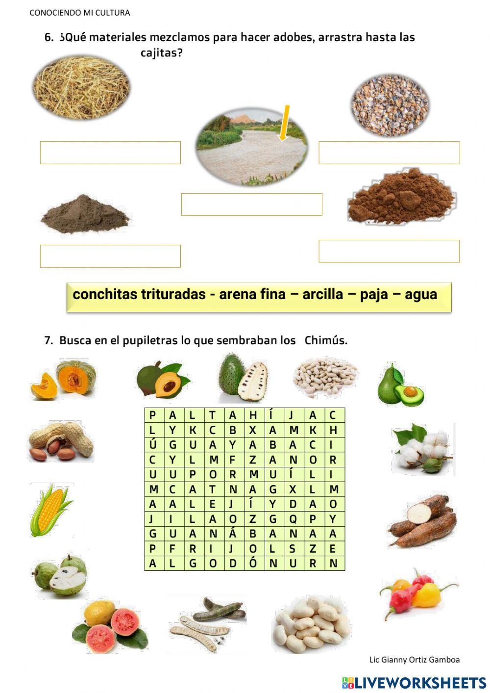 Conociendo mi cultura