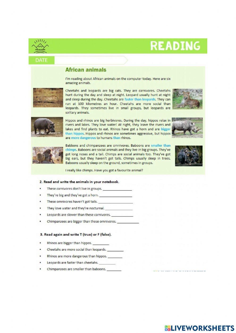 Grade 4 English Entry Exam