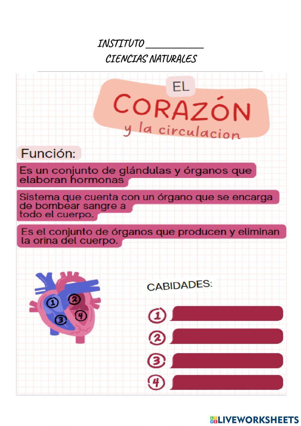 Sistemas de nutrición del cuerpo