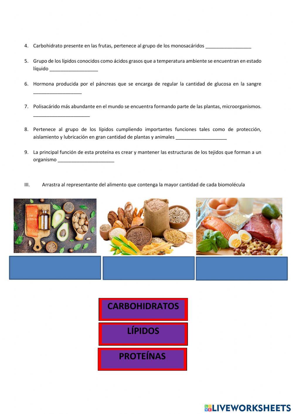 TAREA 1.2 BIOLOGÍA I