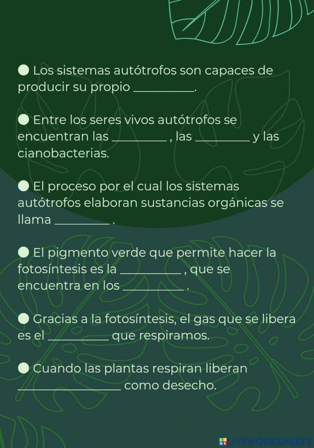 La nutrición en las plantas