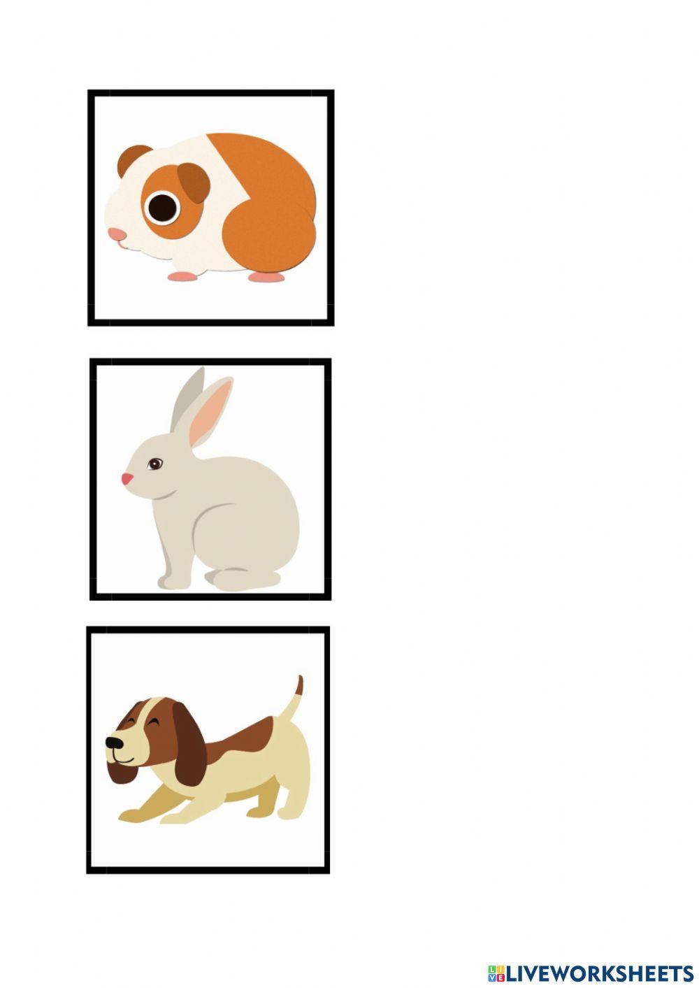 It is-they are- animals