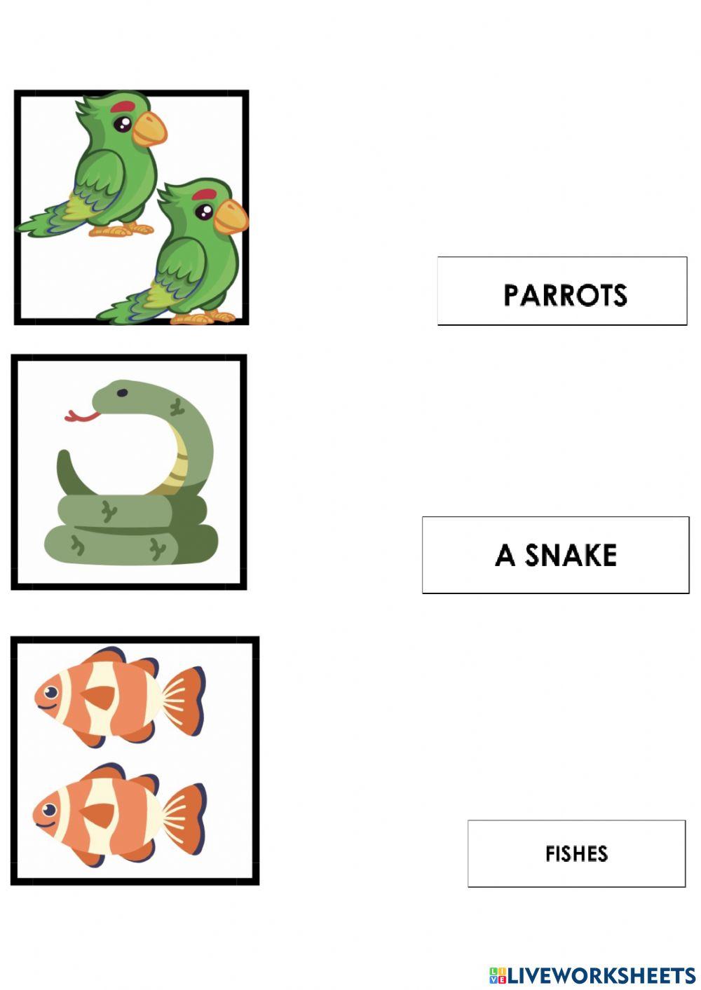 Animals-they are-it is