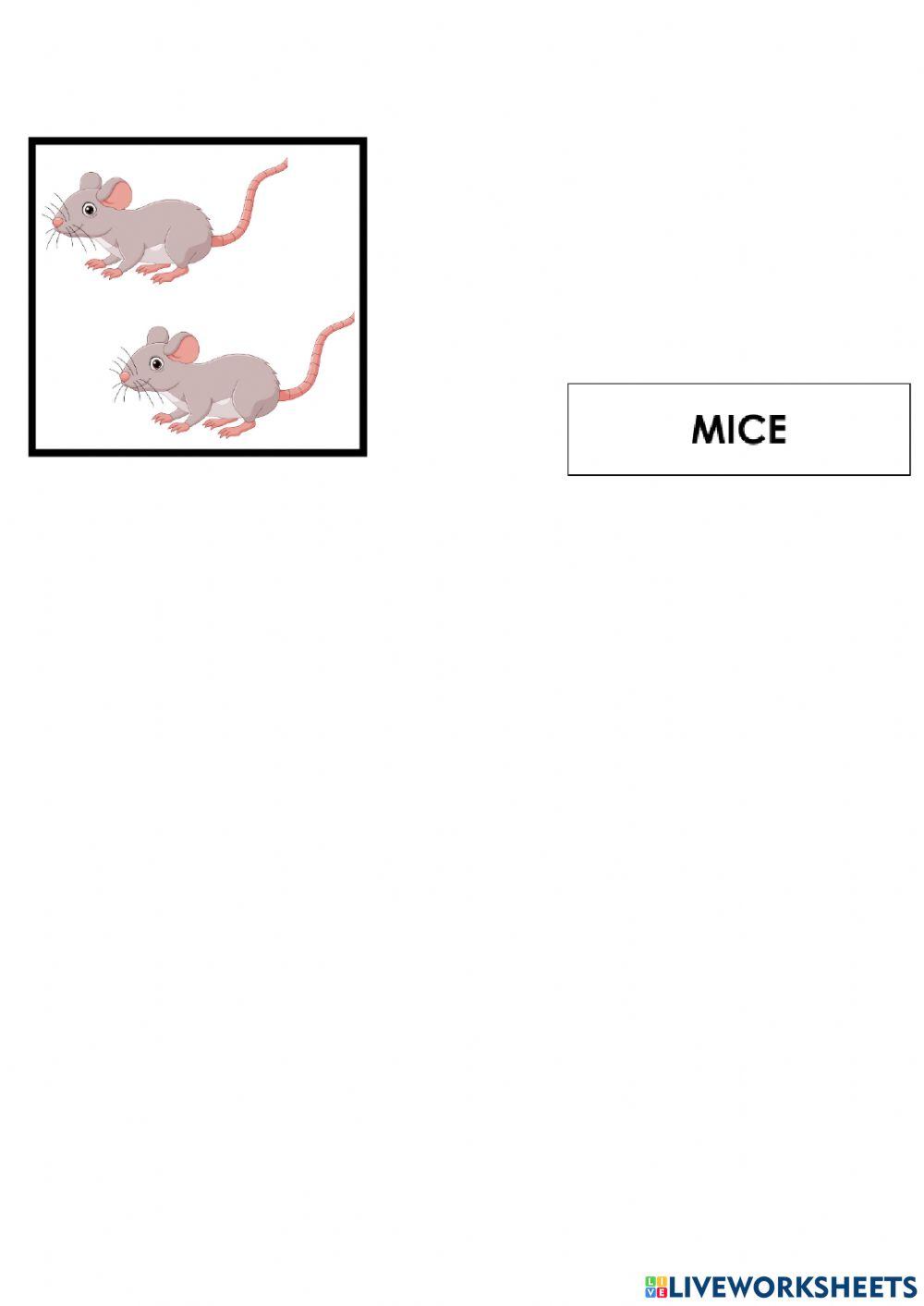 Animals-they are-it is