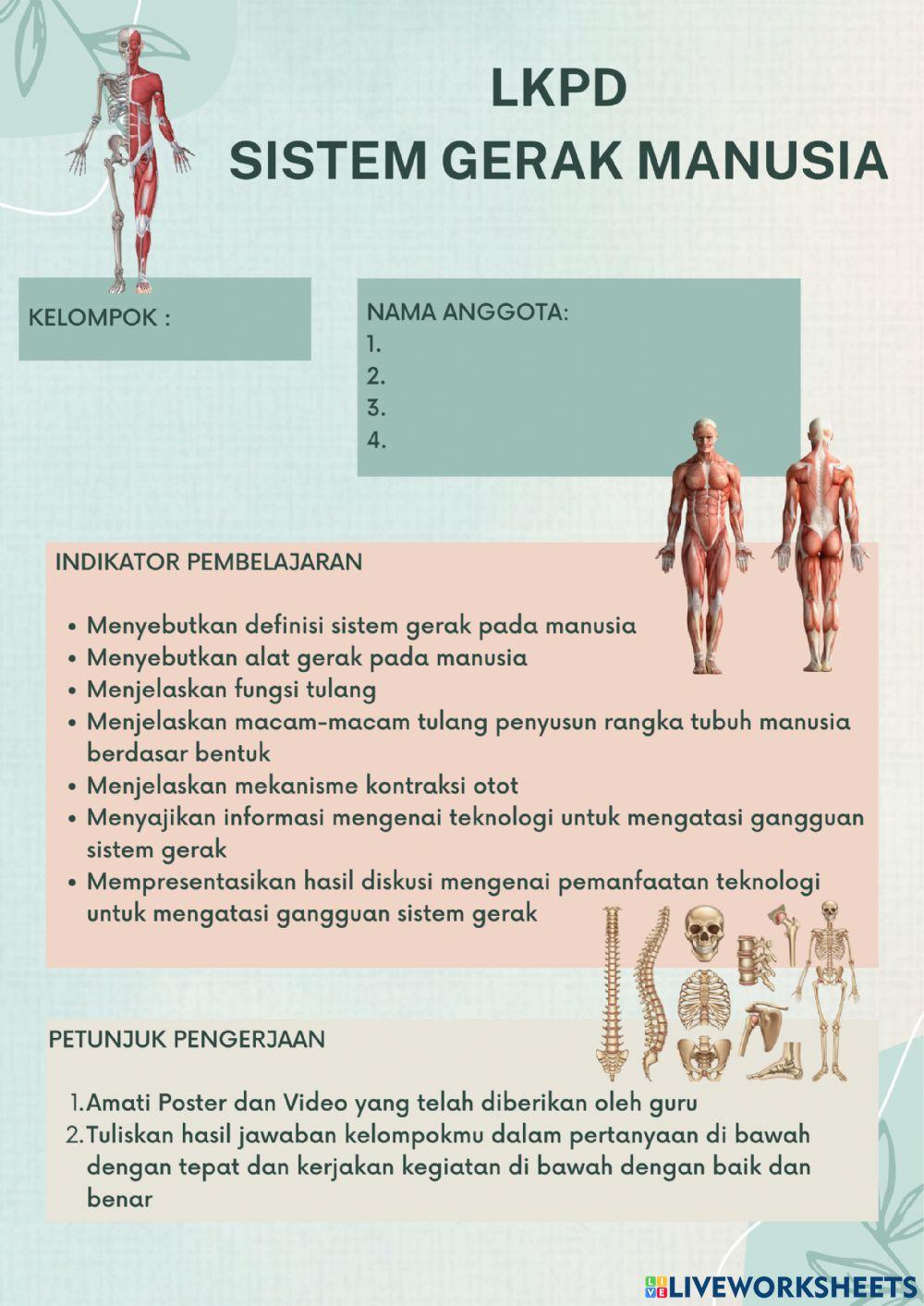 Lkpd sistem gerak manusia